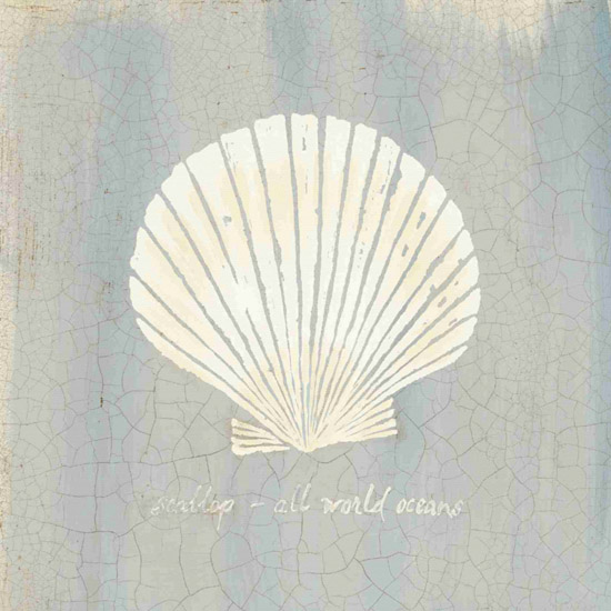 Kompatibel Stilleben til Jahrriesnge shell-lpf00175 Kompatibel Stilleben Jahrriesnge til shell-lpf00175