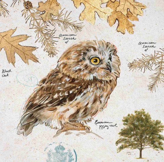 Kompatibel Stilleben til Jahrriesnge owl-lpf00191 Kompatibel Stilleben Jahrriesnge til owl-lpf00191