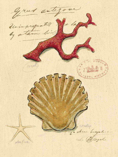 Kompatibel Stilleben til Jahrriesnge shell-lpf00196 Kompatibel Stilleben Jahrriesnge til shell-lpf00196