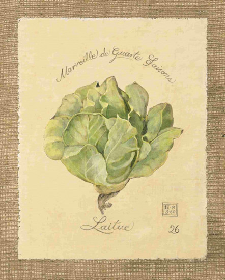 Kompatibel Stilleben til Jahrriesnge laitue-lpf00283 Kompatibel Stilleben Jahrriesnge til laitue-lpf00283