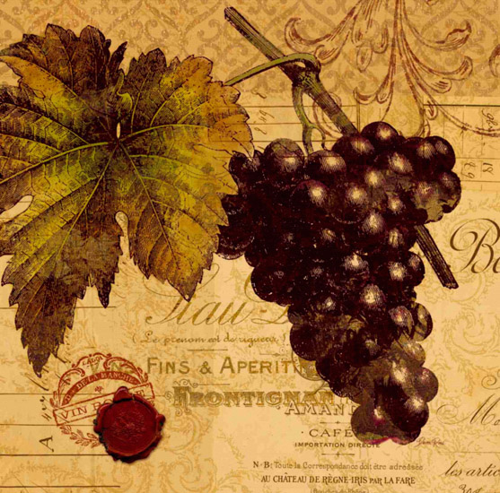 Kompatibel Stilleben til Jahrriesnge grape-lpf00335 Kompatibel Stilleben Jahrriesnge til grape-lpf00335