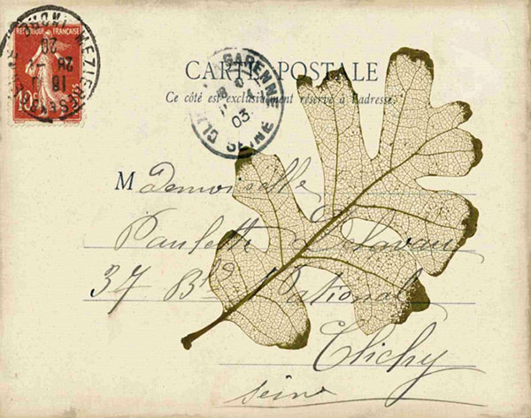 Kompatibel Stilleben til Jahrriesnge leaf-lpf00487 Kompatibel Stilleben Jahrriesnge til leaf-lpf00487