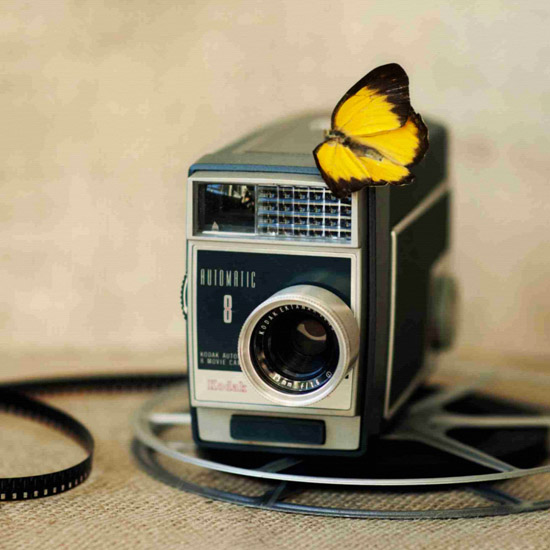 Kompatibel Stilleben til Jahrriesnge untitle-lpf00524 Kompatibel Stilleben Jahrriesnge til untitle-lpf00524