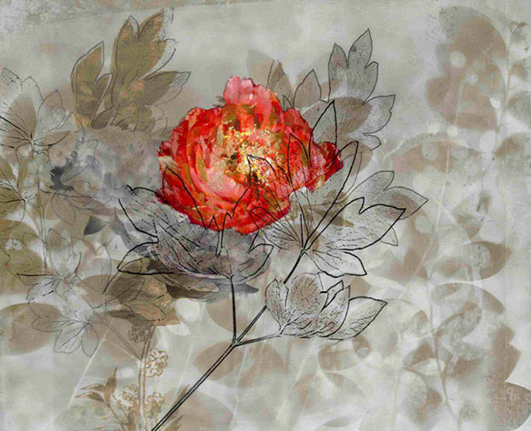 Kompatibel Blomster til JAHRRIESNGE flower-lpf00562 Kompatibel Blomster JAHRRIESNGE til flower-lpf00562