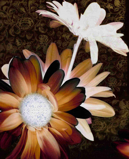 Kompatibel Blomster Jahrriesnge  til flower-lpf00570 