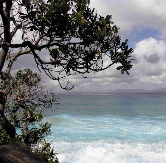 Kompatibel Landskab til JAHRRIESNGE sky-lpf00770 Kompatibel Landskab JAHRRIESNGE til sky-lpf00770