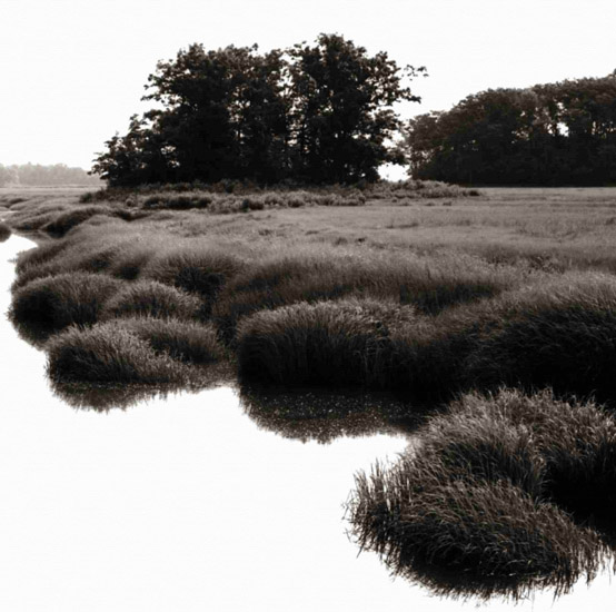 Kompatibel Landskab til JAHRRIESNGE untitle-lpf00775 Kompatibel Landskab JAHRRIESNGE til untitle-lpf00775