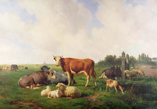 Kompatibel Dyr til Jahrriesnge simmental-lpf02602 Kompatibel Dyr Jahrriesnge til simmental-lpf02602