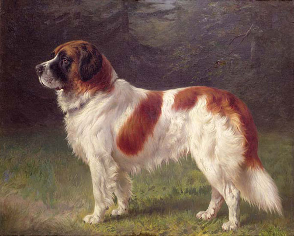 Kompatibel Dyr til Jahrriesnge dog-lpf02635 Kompatibel Dyr Jahrriesnge til dog-lpf02635