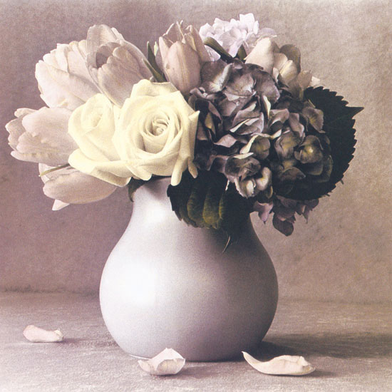 Kompatibel Blomster til Jahrriesnge flowers lpf04614 Kompatibel Blomster Jahrriesnge til flowers lpf04614