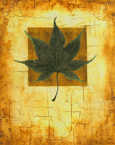 Kompatibel Blomster til JAHRRIESNGE leaf lpf04633 Kompatibel Blomster JAHRRIESNGE til leaf lpf04633