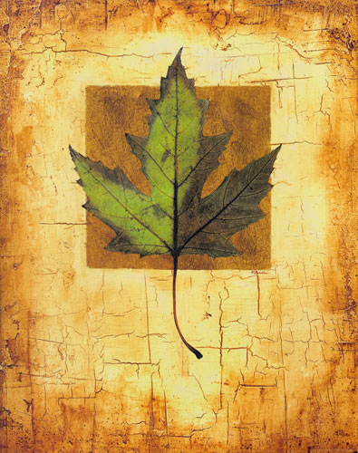 Kompatibel Blomster til Jahrriesnge leaf lpf04634 Kompatibel Blomster Jahrriesnge til leaf lpf04634