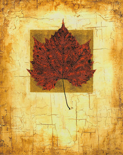 Kompatibel Blomster til Jahrriesnge leaf lpf04636 Kompatibel Blomster Jahrriesnge til leaf lpf04636