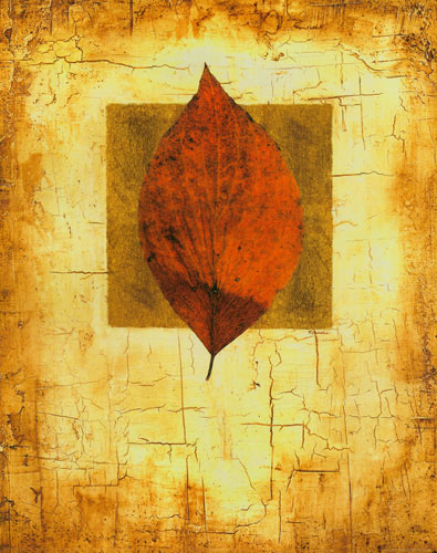 Kompatibel Blomster til Jahrriesnge leaf lpf04637 Kompatibel Blomster Jahrriesnge til leaf lpf04637