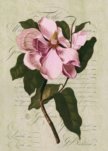 Kompatibel Blomster til JAHRRIESNGE flowers lpf04758 Kompatibel Blomster JAHRRIESNGE til flowers lpf04758