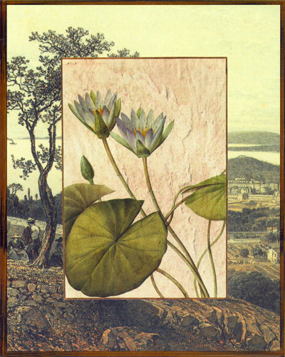 Kompatibel Blomster til JAHRRIESNGE flowers lpf04828 Kompatibel Blomster JAHRRIESNGE til flowers lpf04828