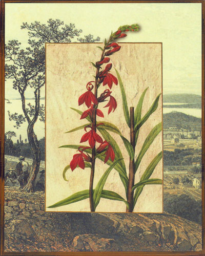 Kompatibel Blomster til JAHRRIESNGE flowers lpf04830 Kompatibel Blomster JAHRRIESNGE til flowers lpf04830