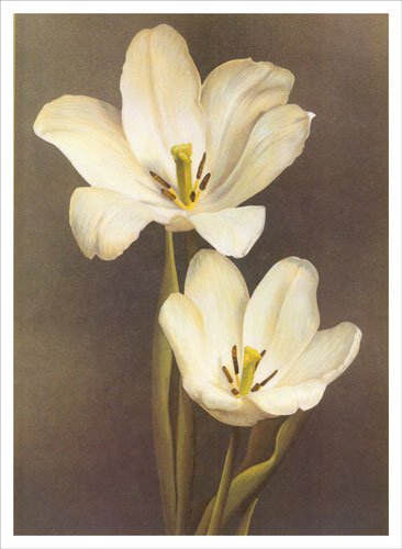 Kompatibel Blomster til JAHRRIESNGE flowers lpf04851 Kompatibel Blomster JAHRRIESNGE til flowers lpf04851