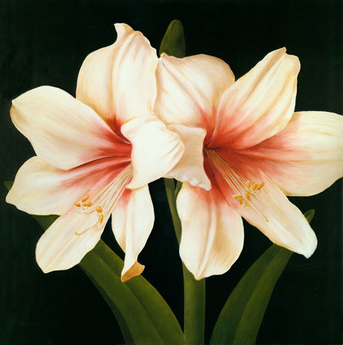 Kompatibel Blomster Jahrriesnge  til flowers lpf04951 