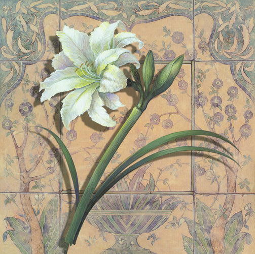 Kompatibel Blomster til Jahrriesnge clematis lpf05056 Kompatibel Blomster Jahrriesnge til clematis lpf05056