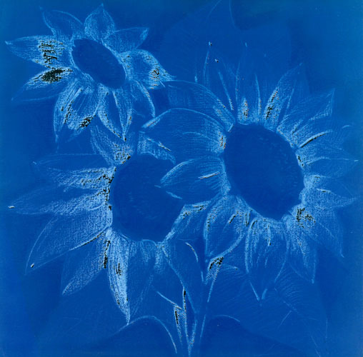 Kompatibel Blomster til Jahrriesnge flowers lpf05271 Kompatibel Blomster Jahrriesnge til flowers lpf05271