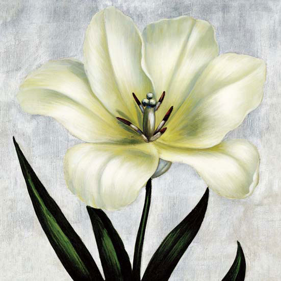 Kompatibel Blomster til Jahrriesnge flowers lpf05391 Kompatibel Blomster Jahrriesnge til flowers lpf05391