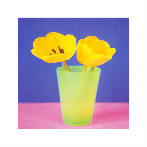 Kompatibel Blomster til JAHRRIESNGE flowers lpf05589 Kompatibel Blomster JAHRRIESNGE til flowers lpf05589