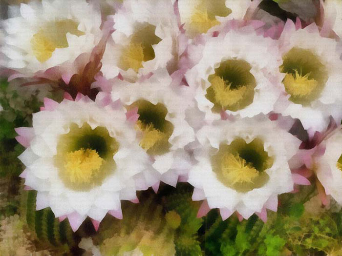 Kompatibel Abstrakt til Jahrriesnge colorful-lpf05913 Kompatibel Abstrakt Jahrriesnge til colorful-lpf05913