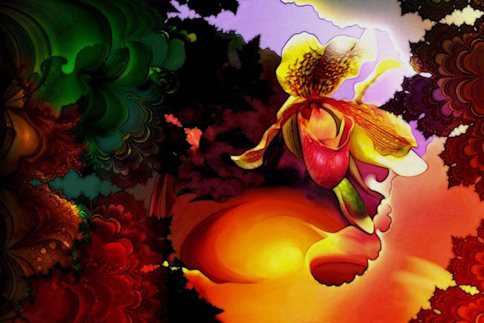 Kompatibel Abstrakt til Jahrriesnge colorful-lpf05928 Kompatibel Abstrakt Jahrriesnge til colorful-lpf05928