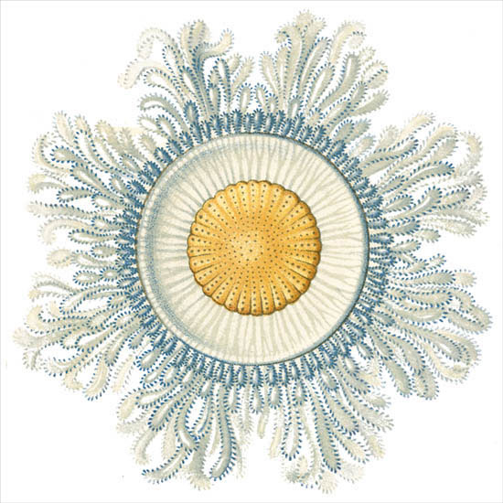 Kompatibel Abstrakt til Jahrriesnge colorful-lpf06395 Kompatibel Abstrakt Jahrriesnge til colorful-lpf06395