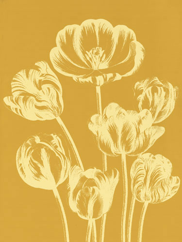 Kompatibel Blomster Jahrriesnge  til flowers-lpf06716 