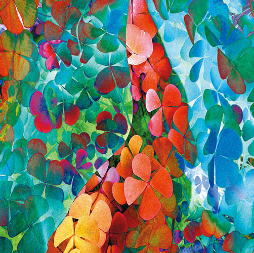 Kompatibel Blomster til Jahrriesnge flowers-lpf06742 Kompatibel Blomster Jahrriesnge til flowers-lpf06742