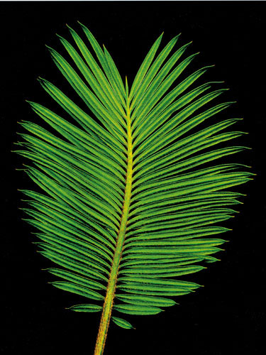 Kompatibel Blomster til JAHRRIESNGE flowers-lpf06751 Kompatibel Blomster JAHRRIESNGE til flowers-lpf06751