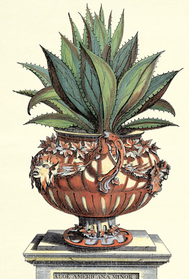 Kompatibel Blomster til JAHRRIESNGE flowers-lpf06773 Kompatibel Blomster JAHRRIESNGE til flowers-lpf06773