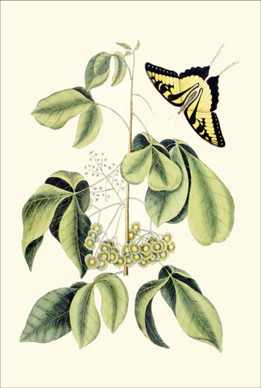 Kompatibel Blomster til Jahrriesnge flowers-lpf06783 Kompatibel Blomster Jahrriesnge til flowers-lpf06783