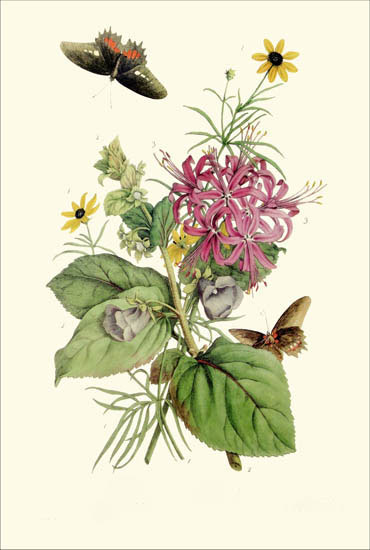 Kompatibel Blomster til JAHRRIESNGE flowers-lpf06786 Kompatibel Blomster JAHRRIESNGE til flowers-lpf06786