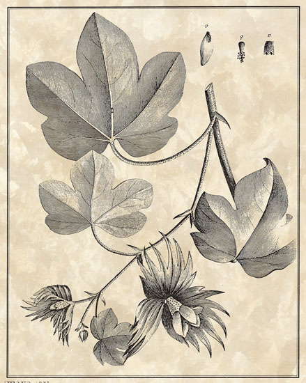 Kompatibel Blomster til JAHRRIESNGE flowers-lpf06796 Kompatibel Blomster JAHRRIESNGE til flowers-lpf06796