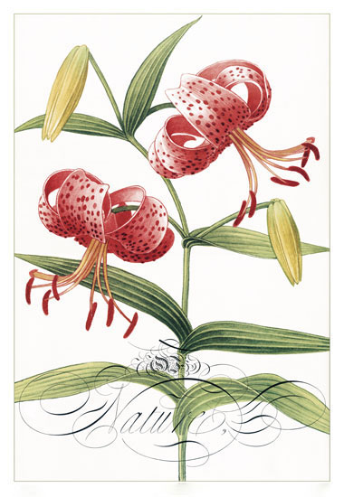 Kompatibel Blomster til JAHRRIESNGE flowers-lpf06834 Kompatibel Blomster JAHRRIESNGE til flowers-lpf06834