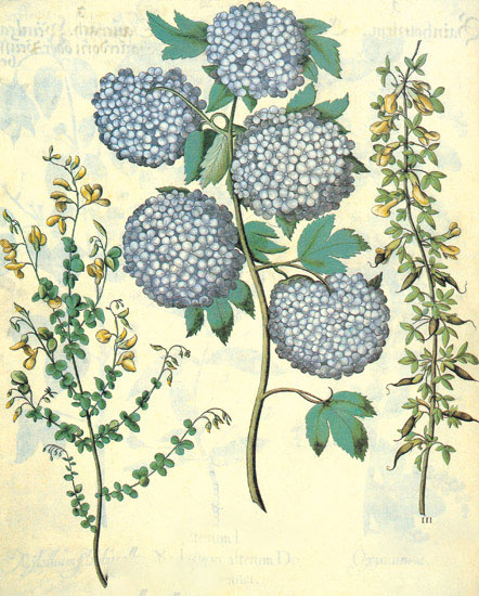 Kompatibel Blomster til JAHRRIESNGE flowers-lpf06844 Kompatibel Blomster JAHRRIESNGE til flowers-lpf06844