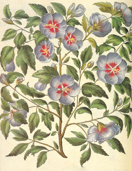 Kompatibel Blomster til JAHRRIESNGE flowers-lpf06845 Kompatibel Blomster JAHRRIESNGE til flowers-lpf06845