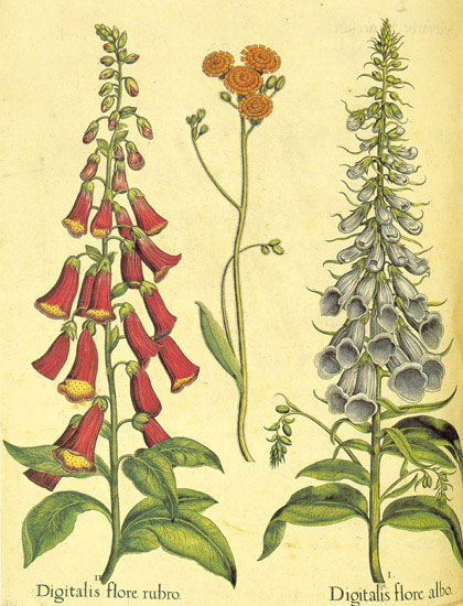 Kompatibel Blomster til JAHRRIESNGE flowers-lpf06867 Kompatibel Blomster JAHRRIESNGE til flowers-lpf06867