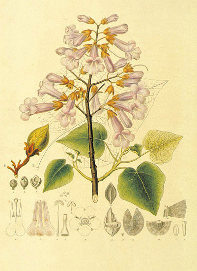 Kompatibel Blomster til JAHRRIESNGE flowers-lpf06873 Kompatibel Blomster JAHRRIESNGE til flowers-lpf06873