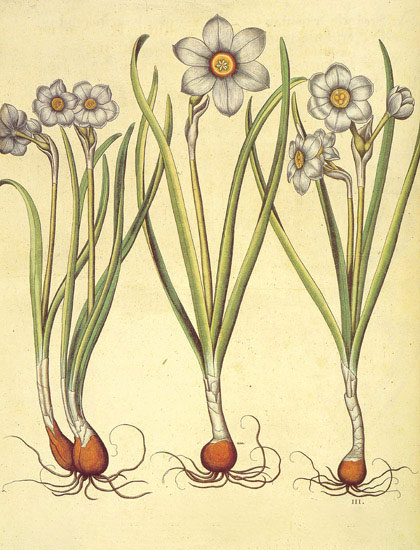 Kompatibel Blomster til JAHRRIESNGE flowers-lpf06876 Kompatibel Blomster JAHRRIESNGE til flowers-lpf06876