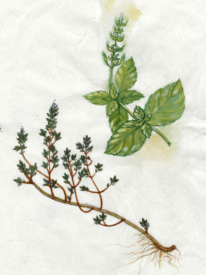 Kompatibel Blomster til Jahrriesnge flowers-lpf06912 Kompatibel Blomster Jahrriesnge til flowers-lpf06912