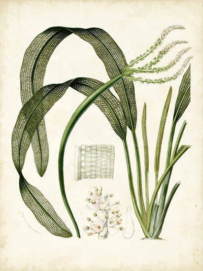 Kompatibel Blomster til JAHRRIESNGE flowers-lpf06919 Kompatibel Blomster JAHRRIESNGE til flowers-lpf06919