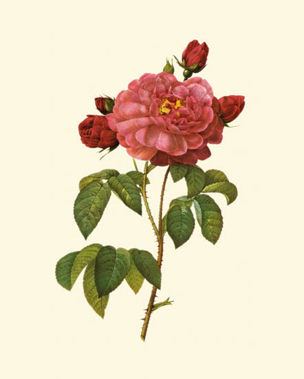 Kompatibel Blomster til JAHRRIESNGE flowers-lpf06960 Kompatibel Blomster JAHRRIESNGE til flowers-lpf06960