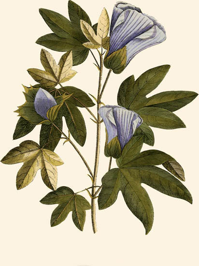 Kompatibel Blomster til JAHRRIESNGE flowers-lpf06996 Kompatibel Blomster JAHRRIESNGE til flowers-lpf06996