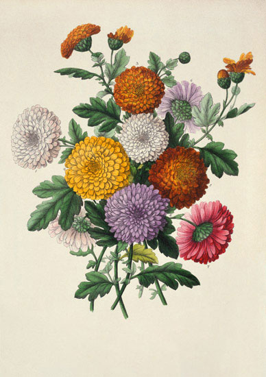 Kompatibel Blomster til JAHRRIESNGE flowers-lpf07002 Kompatibel Blomster JAHRRIESNGE til flowers-lpf07002