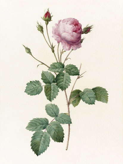 Kompatibel Blomster til JAHRRIESNGE flowers-lpf07017 Kompatibel Blomster JAHRRIESNGE til flowers-lpf07017