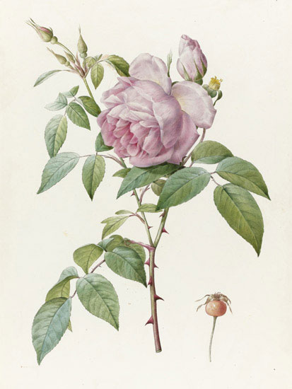 Kompatibel Blomster til JAHRRIESNGE flowers-lpf07019 Kompatibel Blomster JAHRRIESNGE til flowers-lpf07019